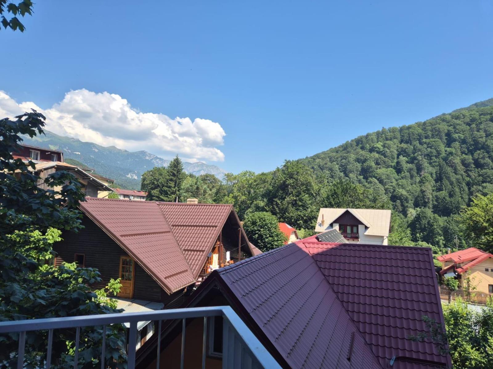 Luxroom In Greenfuture Sinaia Exterior foto